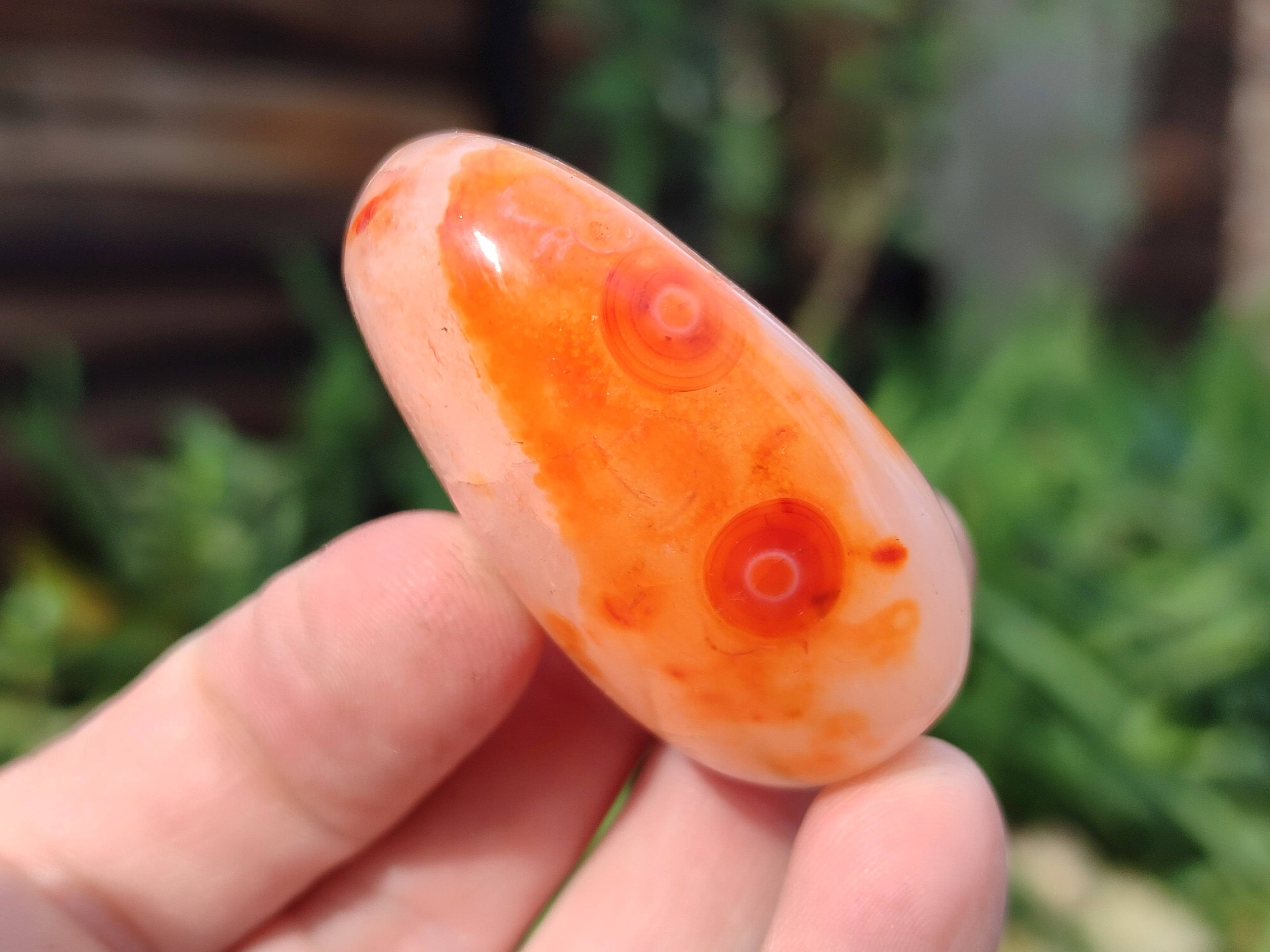 Polished Carnelian Agate Palm Stones x 20 From Madagascar - Toprock Gemstones and Minerals 