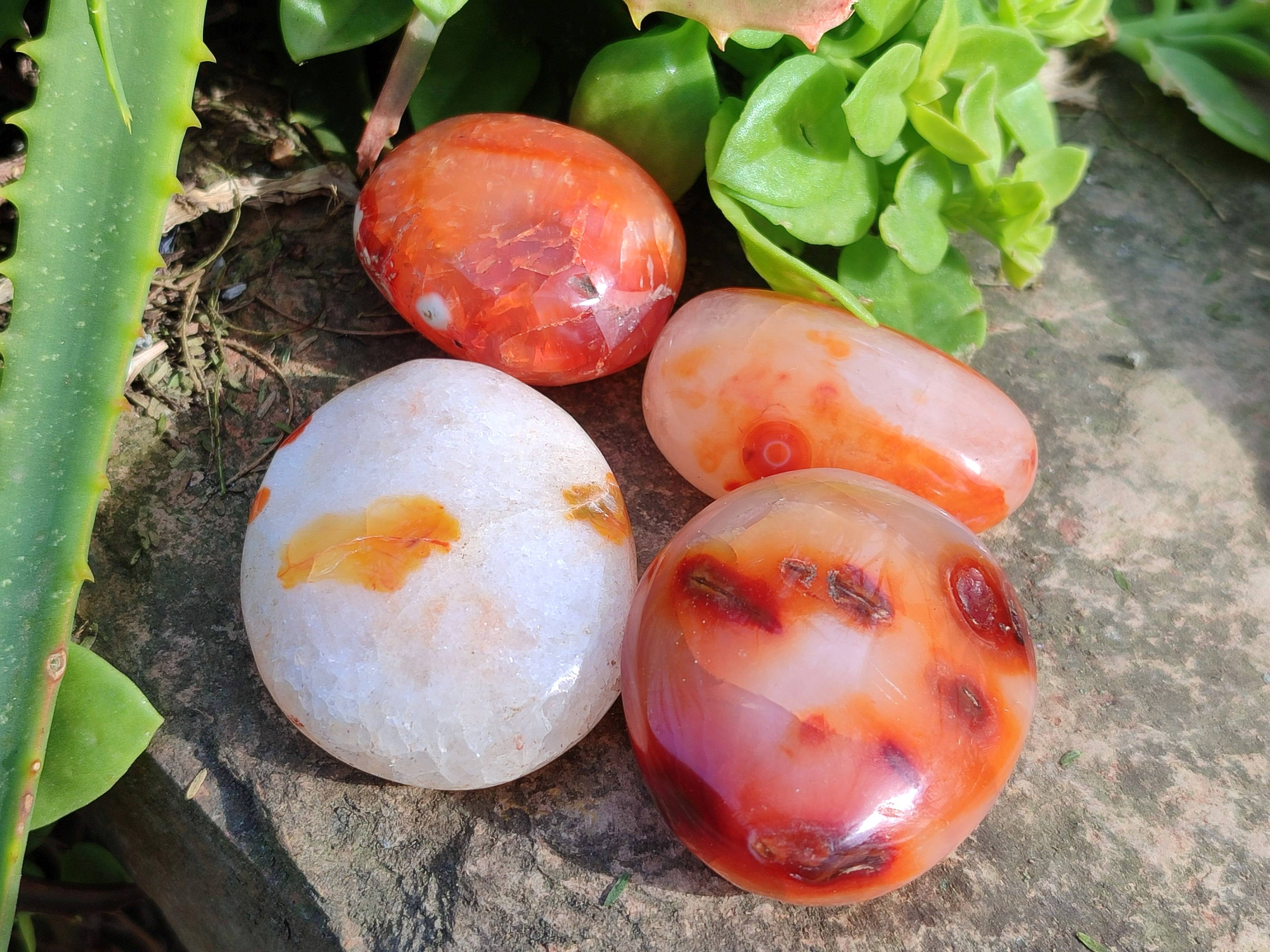 Polished Carnelian Agate Palm Stones x 20 From Madagascar - Toprock Gemstones and Minerals 