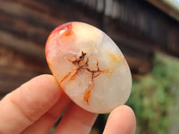 Polished Carnelian Agate Palm Stones x 20 From Madagascar