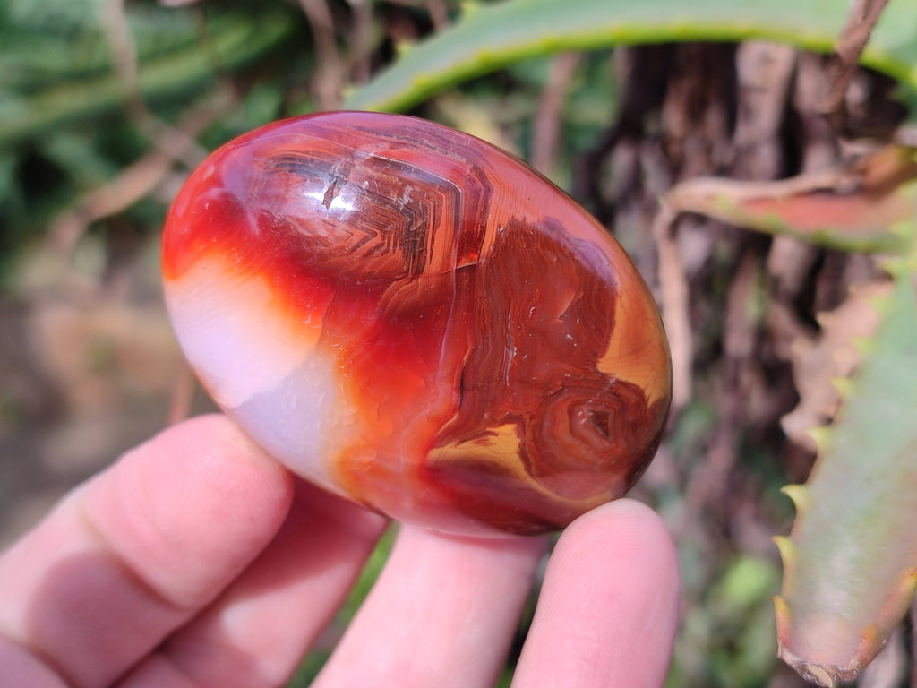 Polished Carnelian Agate Palm Stones x 20 From Madagascar - Toprock Gemstones and Minerals 