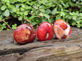Polished Carnelian Agate Palm Stones x 20 From Madagascar - Toprock Gemstones and Minerals 