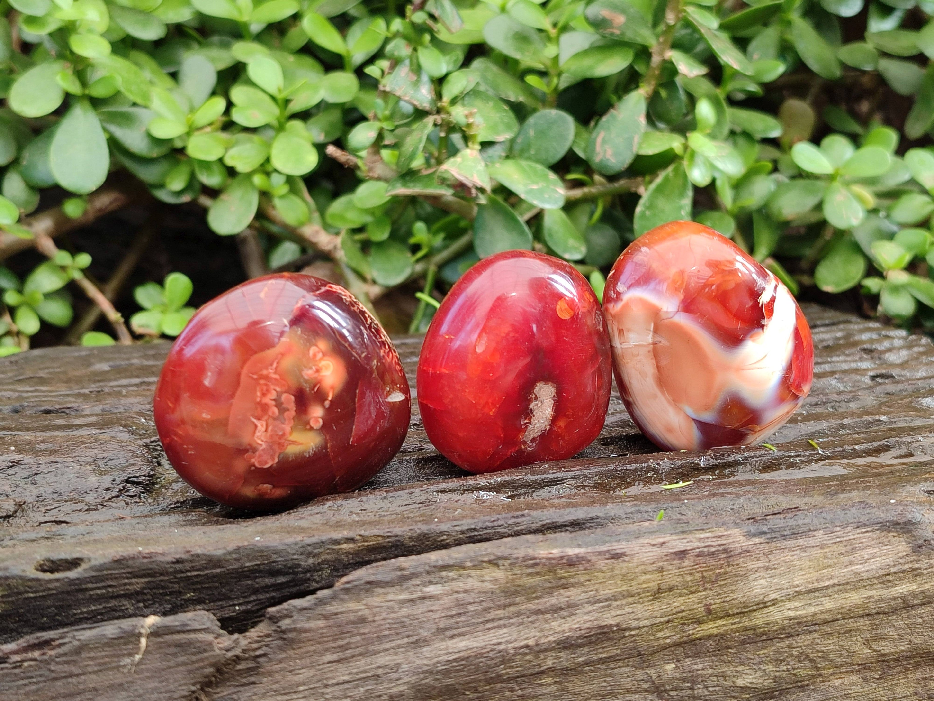 Polished Carnelian Agate Palm Stones x 20 From Madagascar - Toprock Gemstones and Minerals 