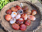 Polished Carnelian Agate Palm Stones x 20 From Madagascar - Toprock Gemstones and Minerals 