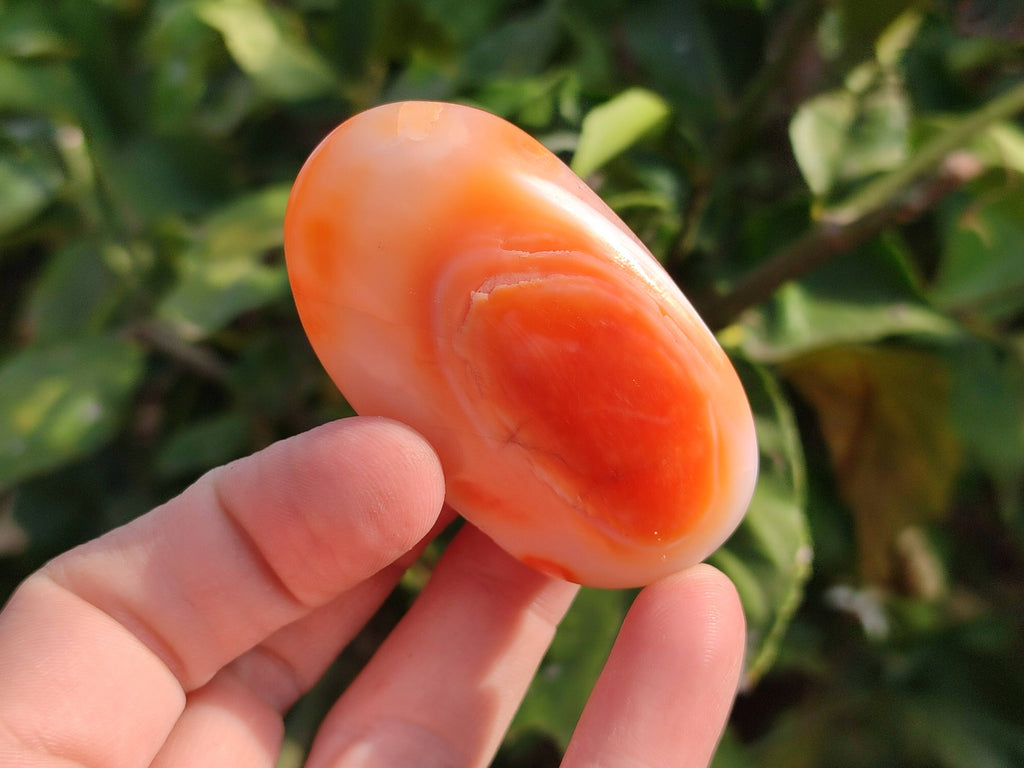 Polished Carnelian Agate Palm Stones x 20 From Madagascar - Toprock Gemstones and Minerals 