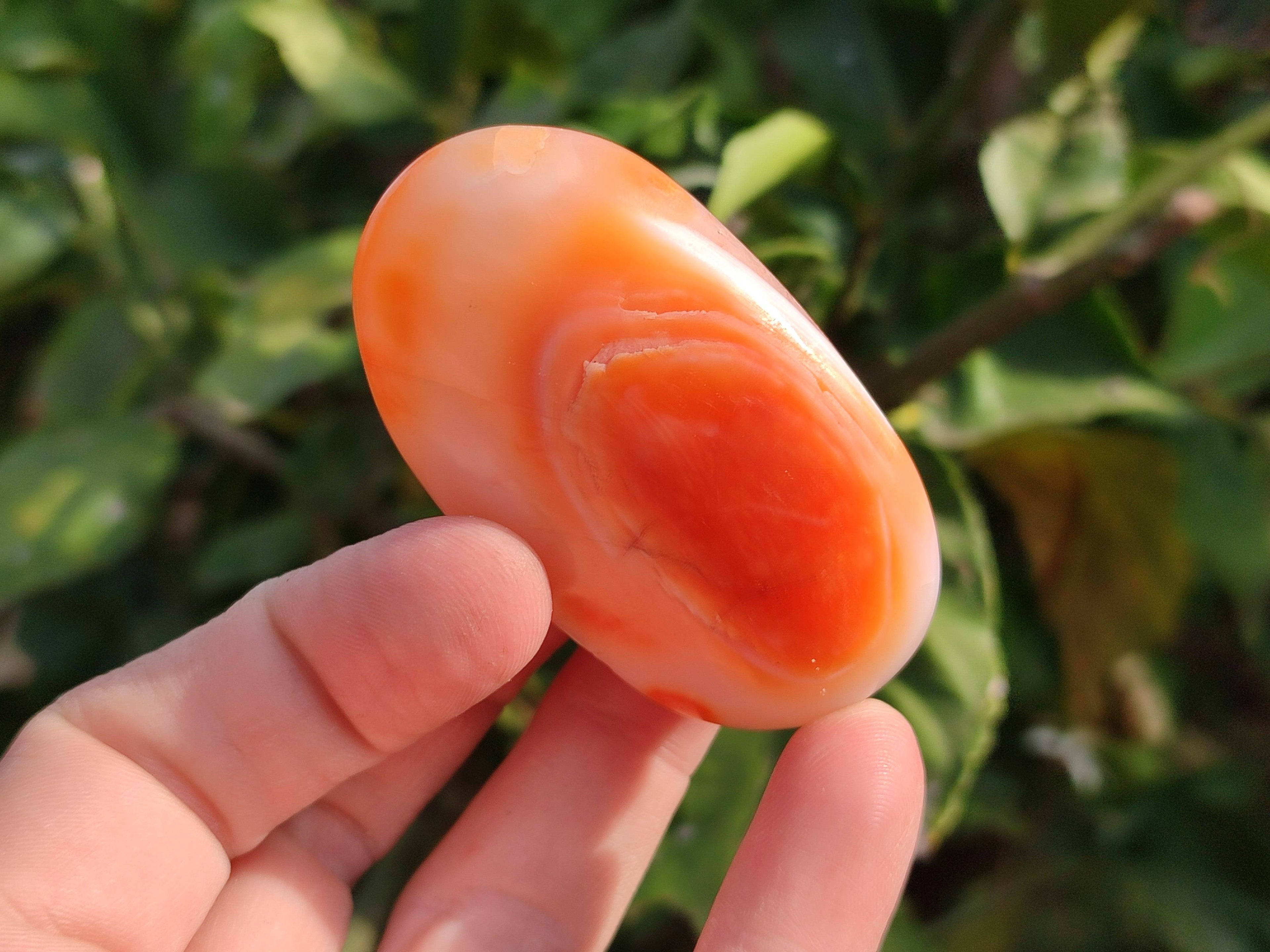 Polished Carnelian Agate Palm Stones x 20 From Madagascar - Toprock Gemstones and Minerals 
