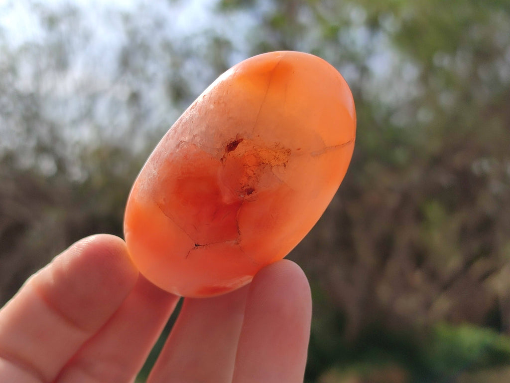 Polished Carnelian Agate Palm Stones x 20 From Madagascar - Toprock Gemstones and Minerals 