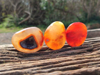 Polished Carnelian Agate Palm Stones x 20 From Madagascar