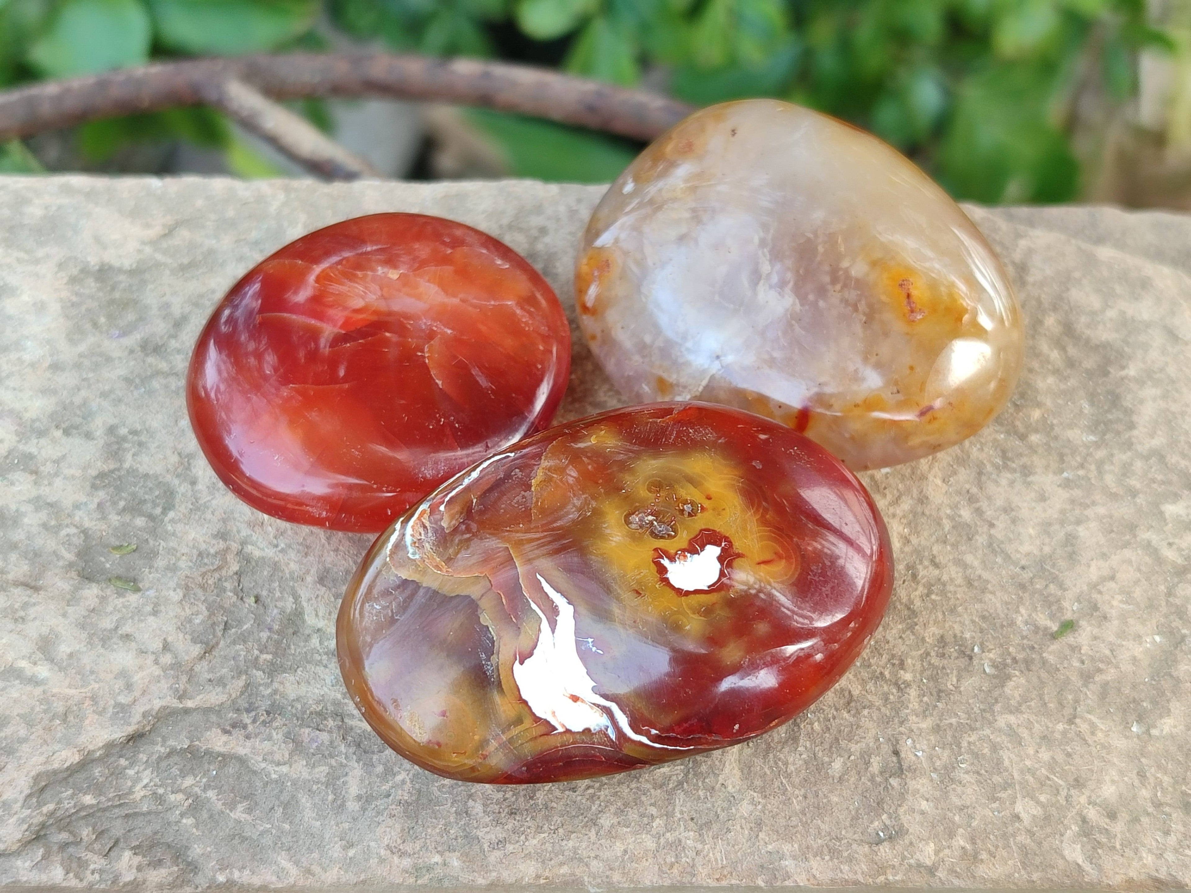 Polished Carnelian Agate Palm Stones x 20 From Madagascar - Toprock Gemstones and Minerals 