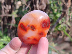 Polished Carnelian Agate Palm Stones x 20 From Madagascar - Toprock Gemstones and Minerals 