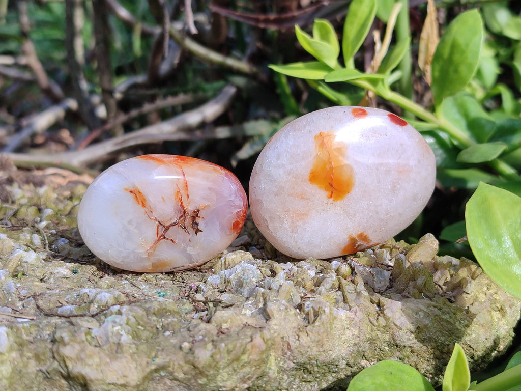 Polished Carnelian Agate Palm Stones x 20 From Madagascar - Toprock Gemstones and Minerals 