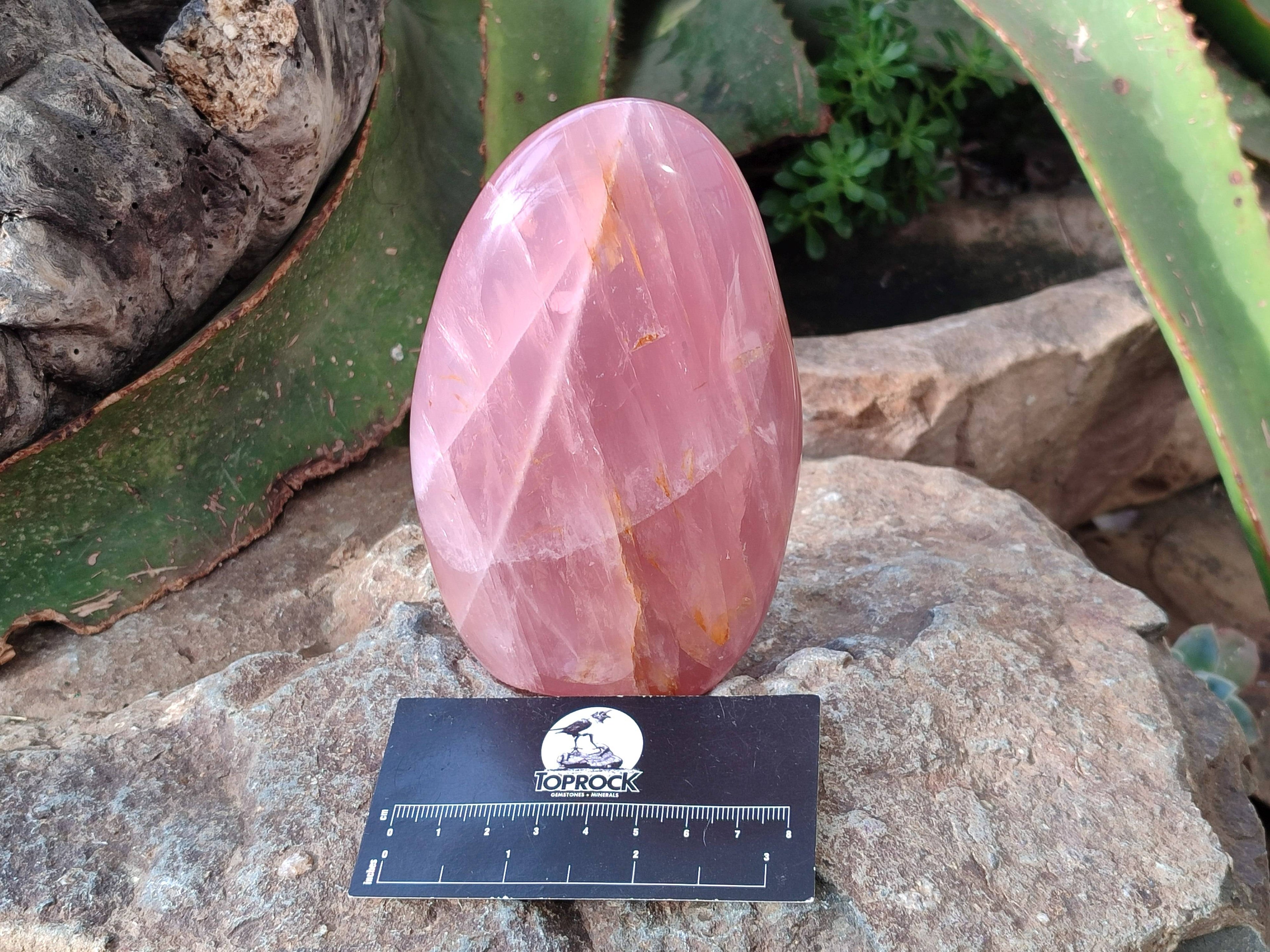 Polished Rose Quartz Standing Free Forms x 2 From Madagascar - Toprock Gemstones and Minerals 