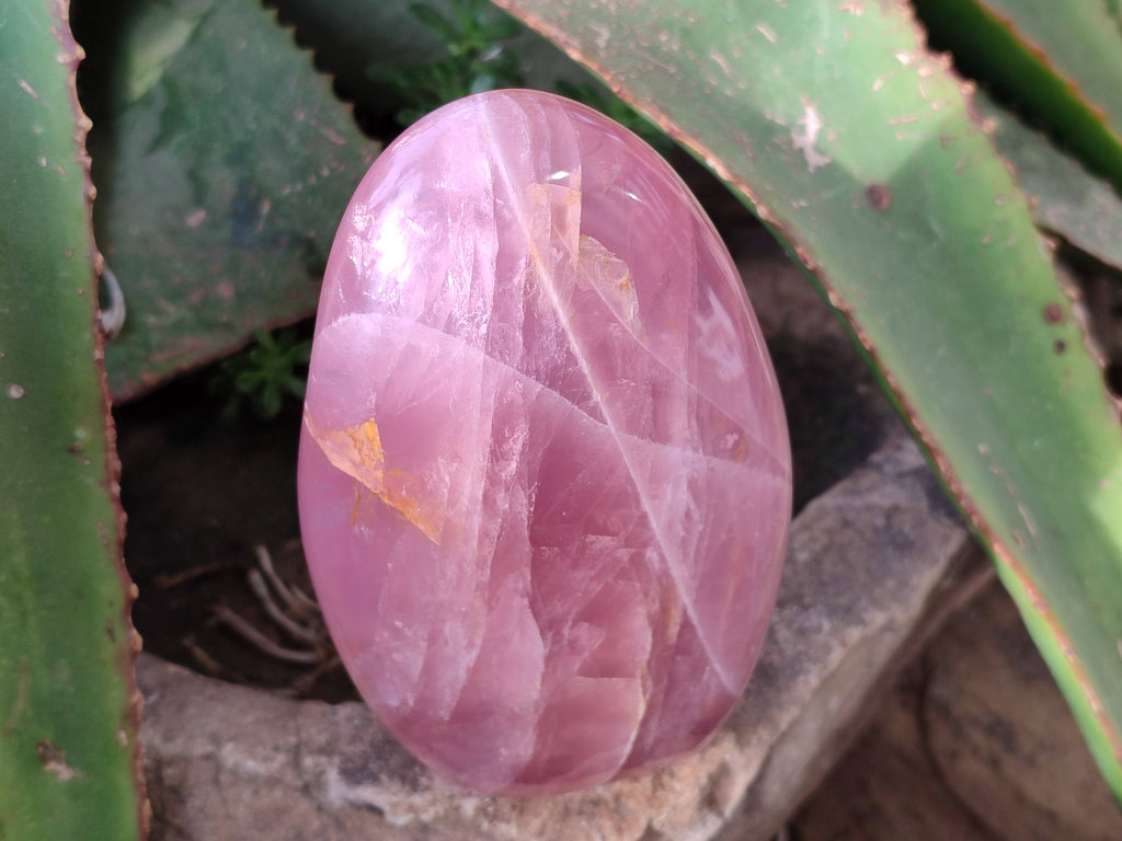 Polished Rose Quartz Standing Free Forms x 2 From Madagascar - Toprock Gemstones and Minerals 