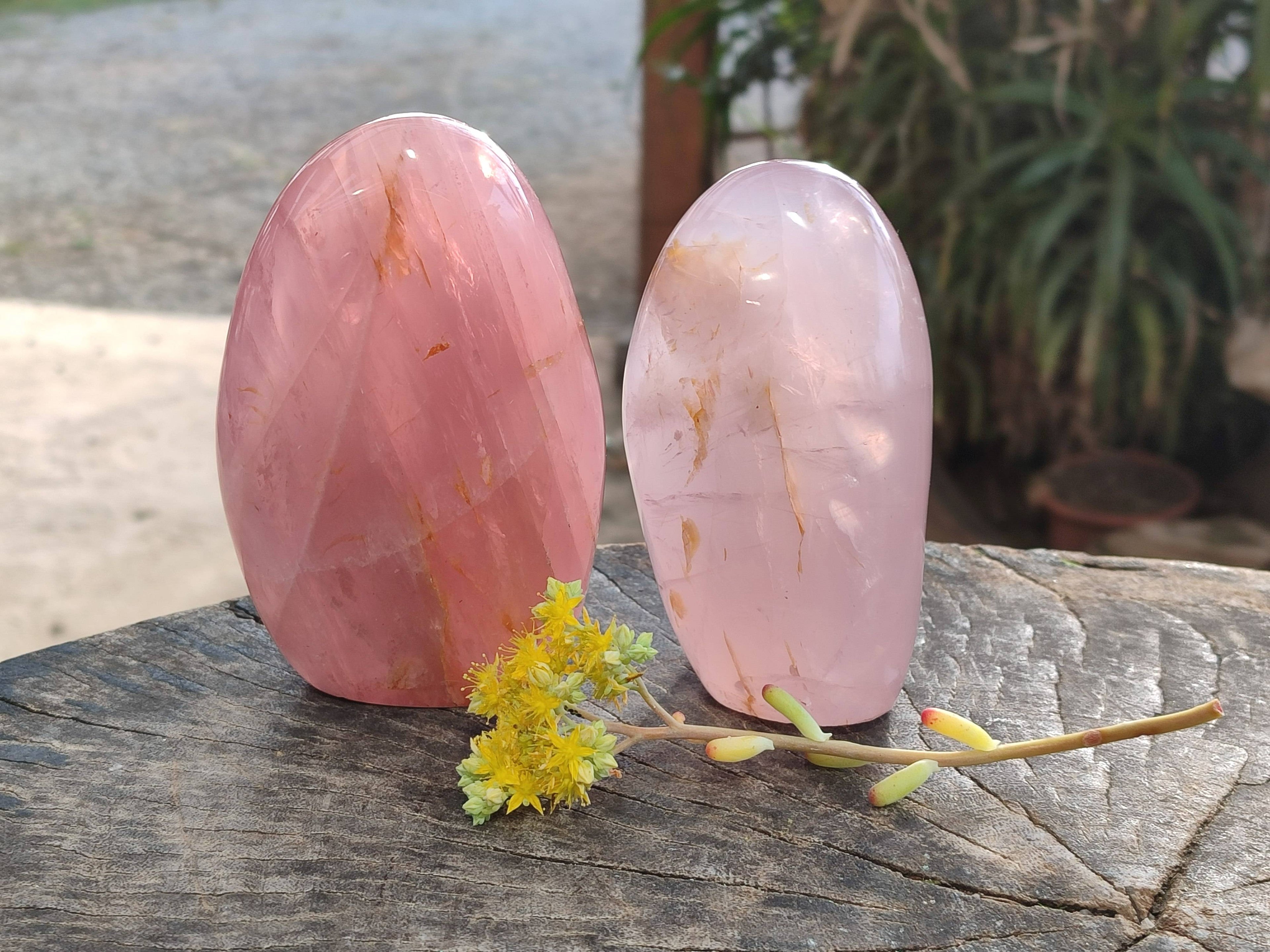 Polished Rose Quartz Standing Free Forms x 2 From Madagascar - Toprock Gemstones and Minerals 