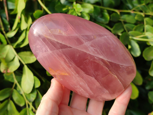 Polished Rose Quartz Standing Free Forms x 2 From Madagascar