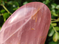 Polished Rose Quartz Standing Free Forms x 2 From Madagascar