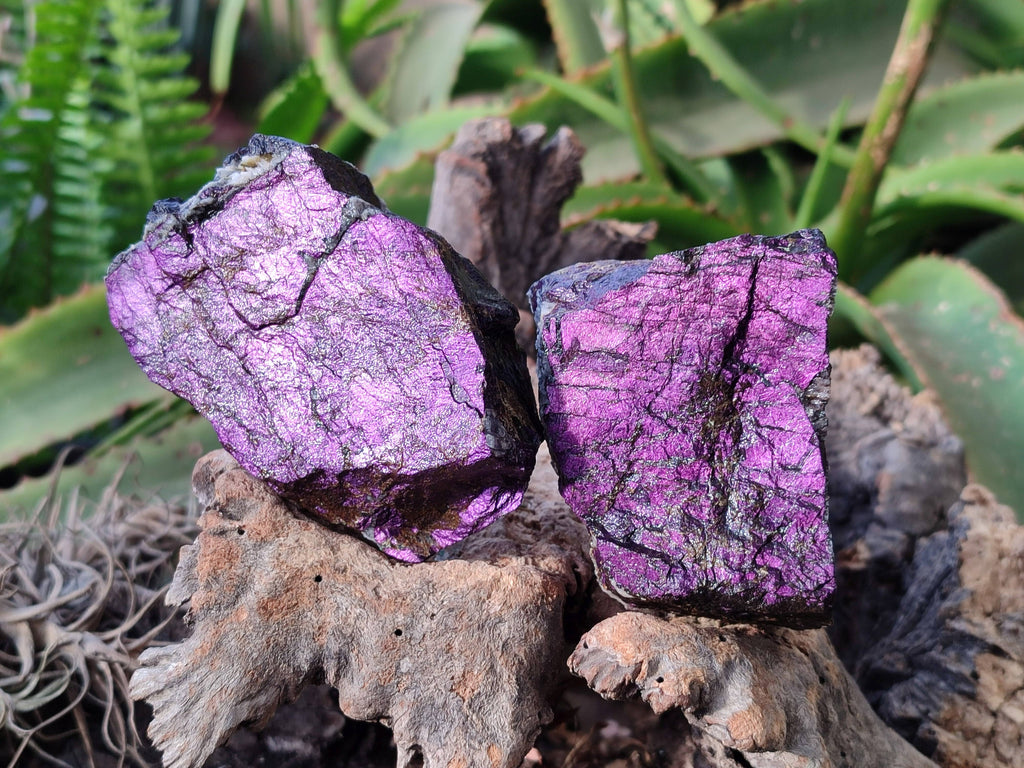 Natural Metallic Purpurite Specimens x 6 From Erongo, Namibia - Toprock Gemstones and Minerals 