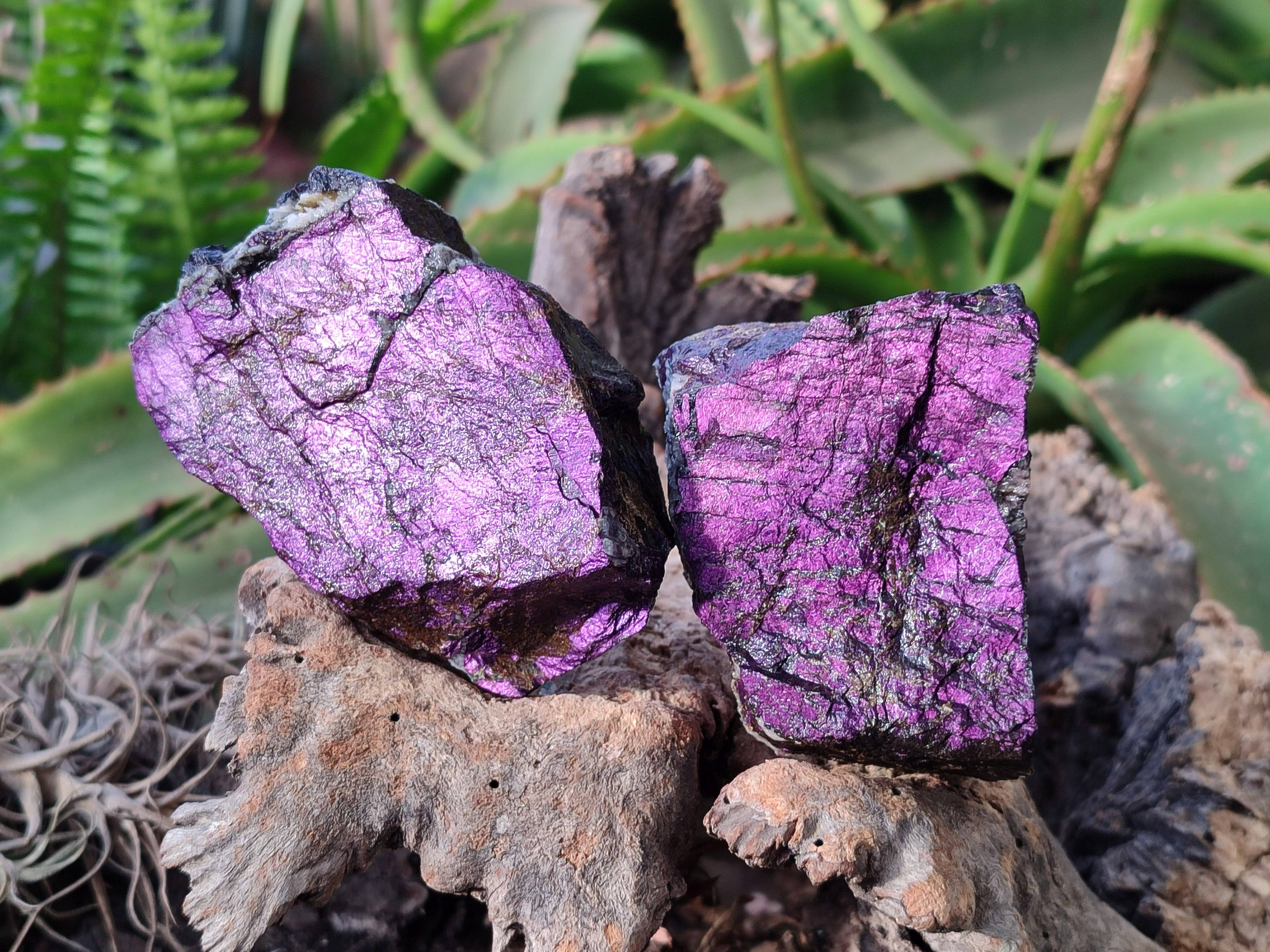 Natural Metallic Purpurite Specimens x 6 From Erongo, Namibia - Toprock Gemstones and Minerals 
