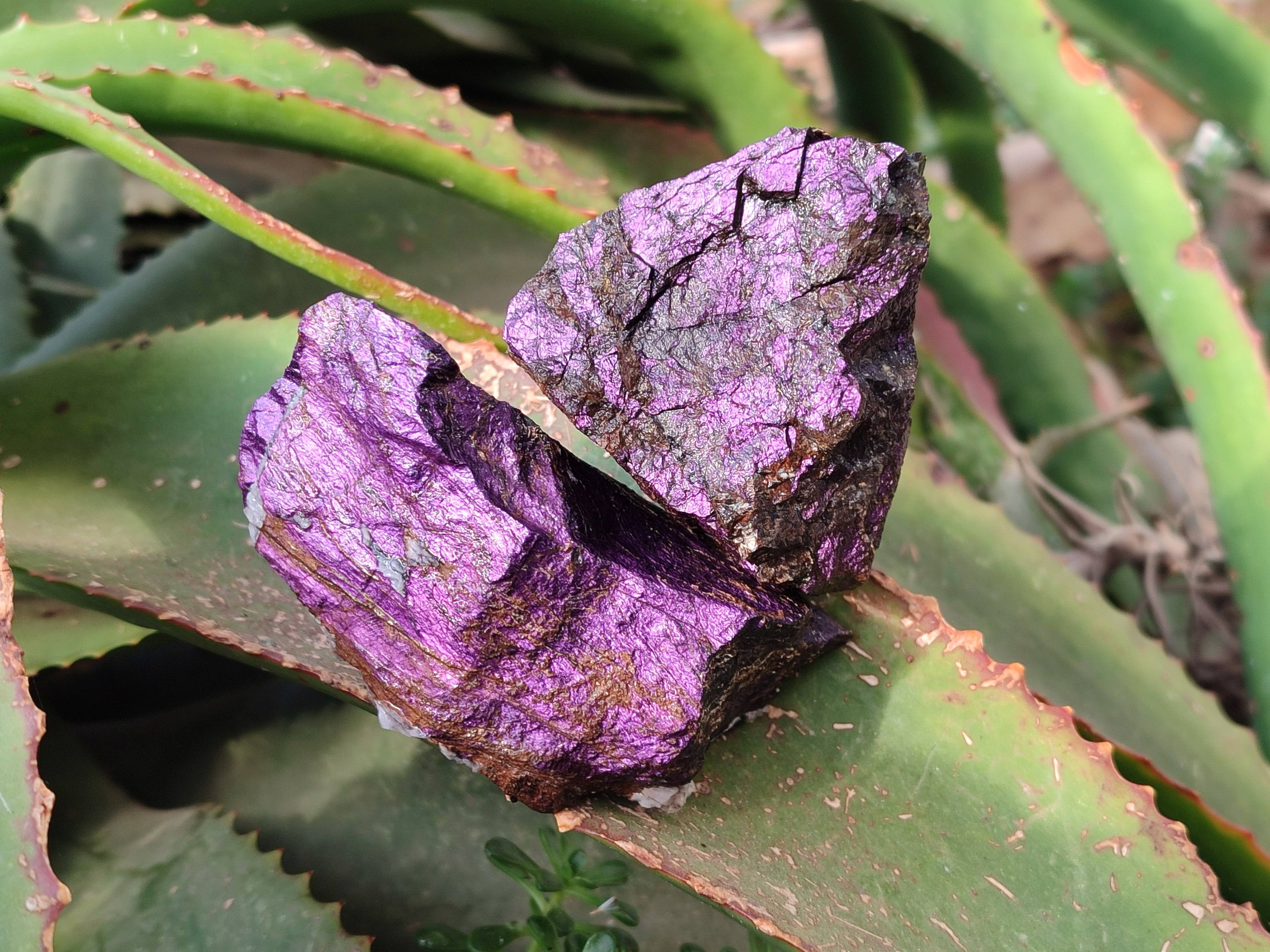 Natural Metallic Purpurite Specimens x 6 From Erongo, Namibia - Toprock Gemstones and Minerals 
