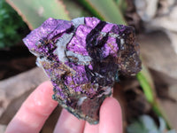 Natural Metallic Purpurite Specimens x 6 From Erongo, Namibia
