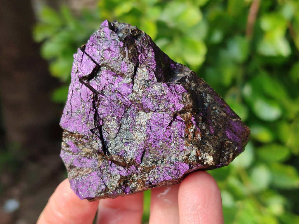 Natural Metallic Purpurite Specimens x 6 From Erongo, Namibia - Toprock Gemstones and Minerals 