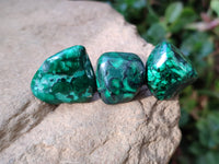 Polished Flower Banded Malachite Free Forms x 70 From Congo