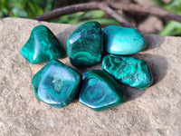 Polished Flower Banded Malachite Free Forms x 70 From Congo