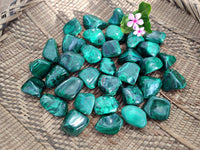 Polished Flower Banded Malachite Free Forms x 70 From Congo