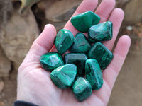 Polished Flower Banded Malachite Free Forms x 70 From Congo