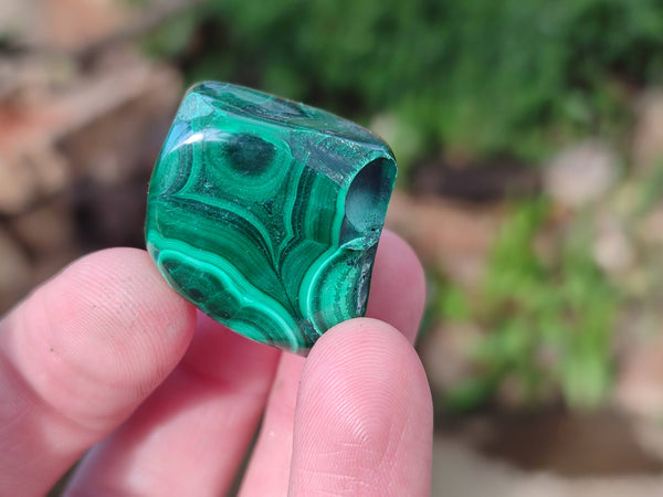 Polished Flower Banded Malachite Free Forms x 70 From Congo