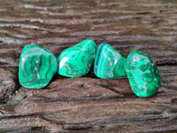 Polished Flower Banded Malachite Free Forms x 70 From Congo