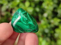 Polished Flower Banded Malachite Free Forms x 70 From Congo