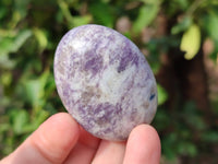 Polished Lepidolite with Pink Rubellite Palm Stones x 20 From Ambatondrazaka, Madagascar