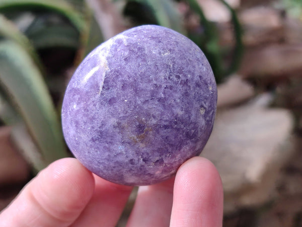 Polished Lepidolite with Pink Rubellite Palm Stones x 20 From Ambatondrazaka, Madagascar