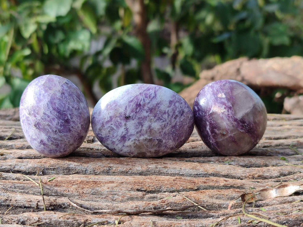Polished Lepidolite with Pink Rubellite Palm Stones x 20 From Ambatondrazaka, Madagascar - Toprock Gemstones and Minerals 