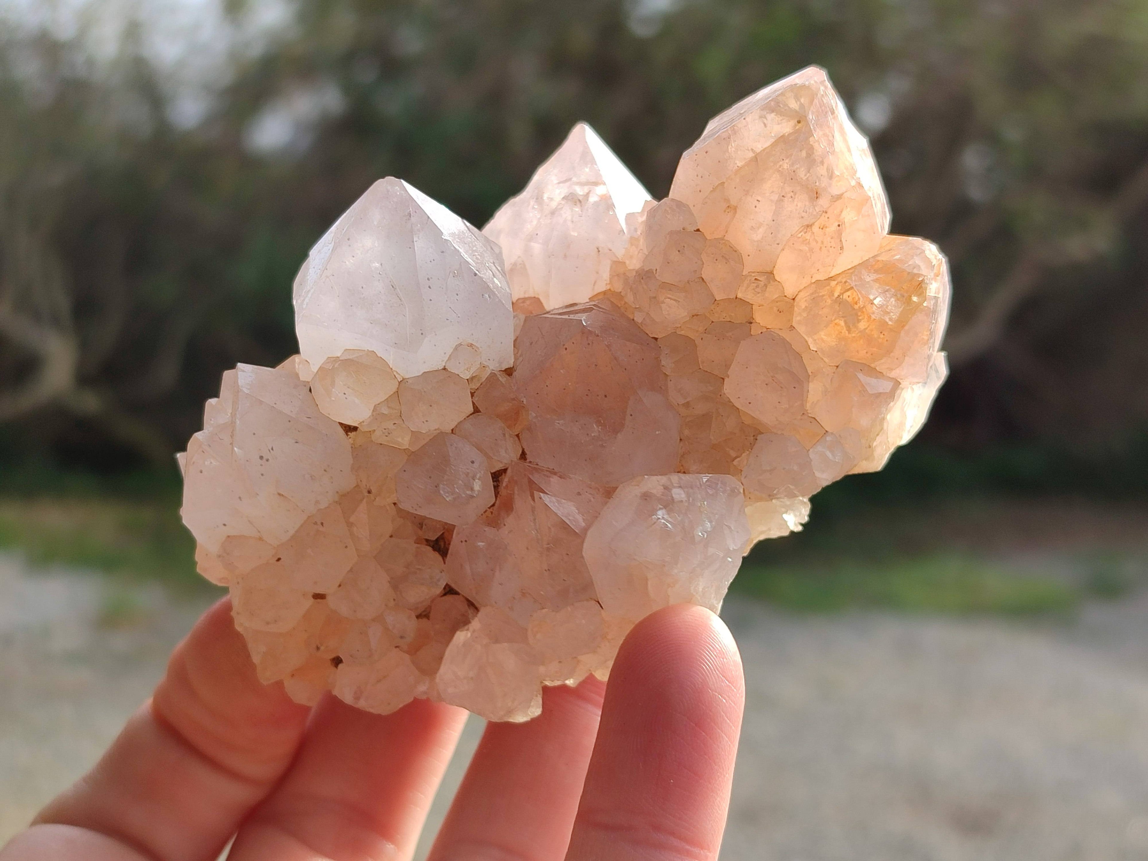 Natural Spirit Quartz Clusters x 6 From South Africa - Toprock Gemstones and Minerals 