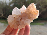 Natural Spirit Quartz Clusters x 6 From South Africa