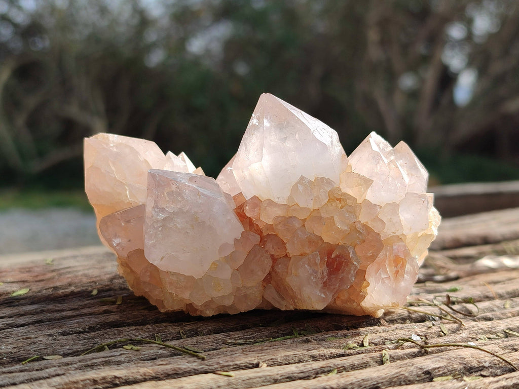 Natural Spirit Quartz Clusters x 6 From South Africa - Toprock Gemstones and Minerals 