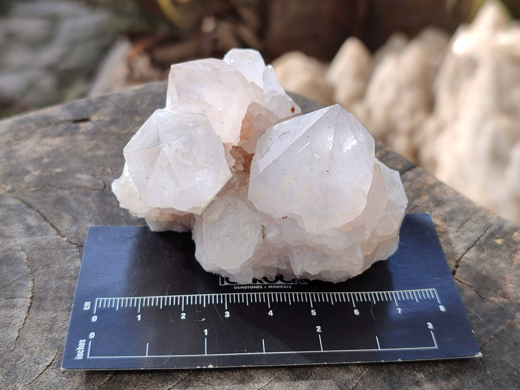 Natural Spirit Quartz Clusters x 6 From South Africa - Toprock Gemstones and Minerals 