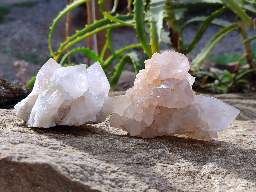 Natural Spirit Quartz Clusters x 6 From South Africa - Toprock Gemstones and Minerals 