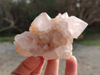 Natural Spirit Quartz Clusters x 6 From South Africa - Toprock Gemstones and Minerals 
