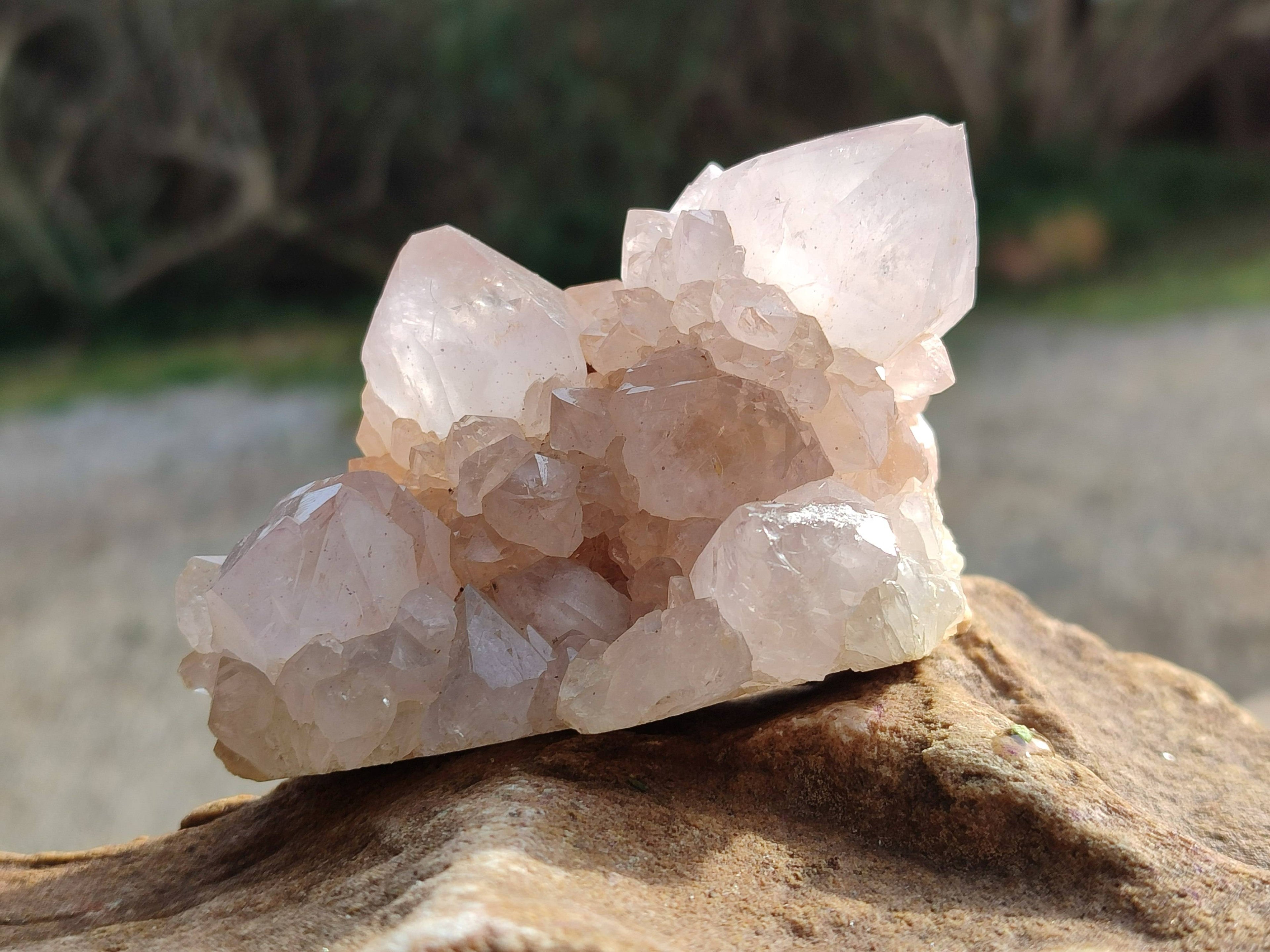 Natural Spirit Quartz Clusters x 6 From South Africa - Toprock Gemstones and Minerals 