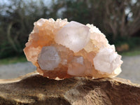 Natural Spirit Quartz Clusters x 6 From South Africa