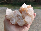 Natural Spirit Quartz Clusters x 6 From South Africa - Toprock Gemstones and Minerals 