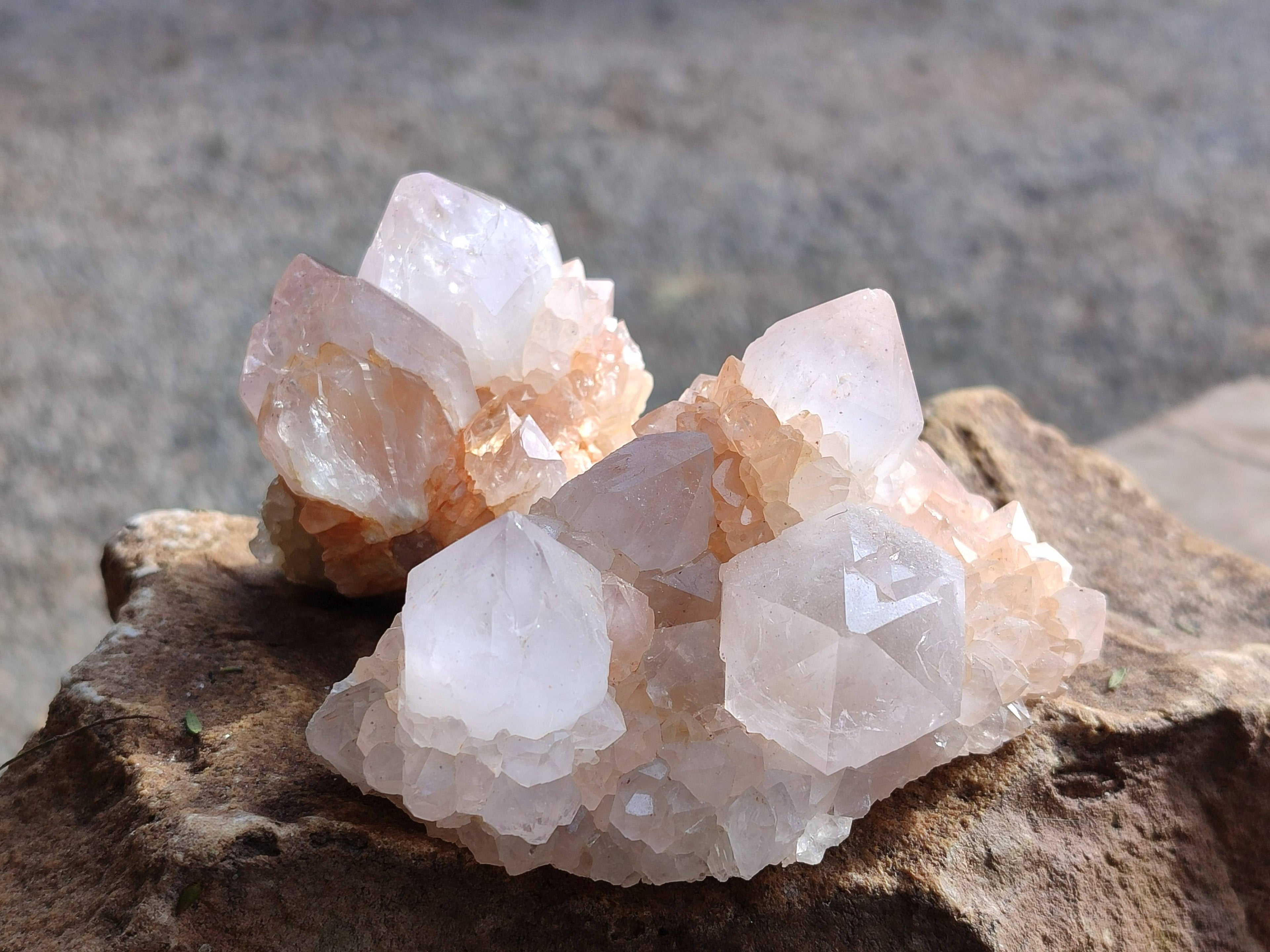 Natural Spirit Quartz Clusters x 6 From South Africa - Toprock Gemstones and Minerals 