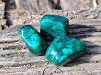 Polished Flower Banded Malachite Free Forms x 20 From Congo