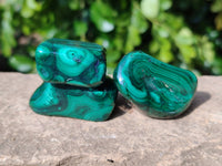 Polished Flower Banded Malachite Free Forms x 20 From Congo
