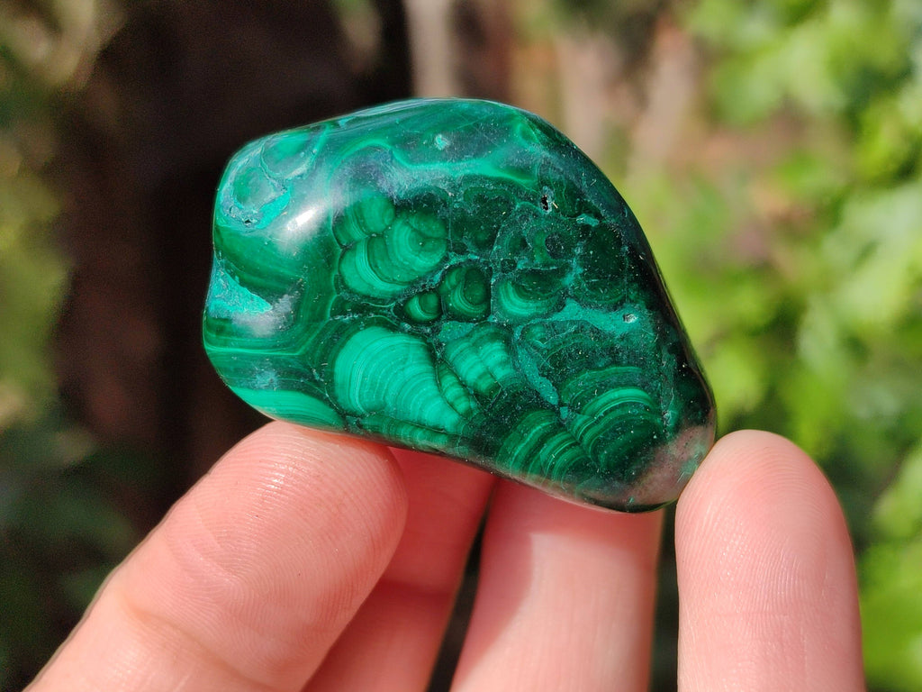 Polished Flower Banded Malachite Free Forms x 20 From Congo - Toprock Gemstones and Minerals 