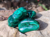 Polished Flower Banded Malachite Free Forms x 20 From Congo