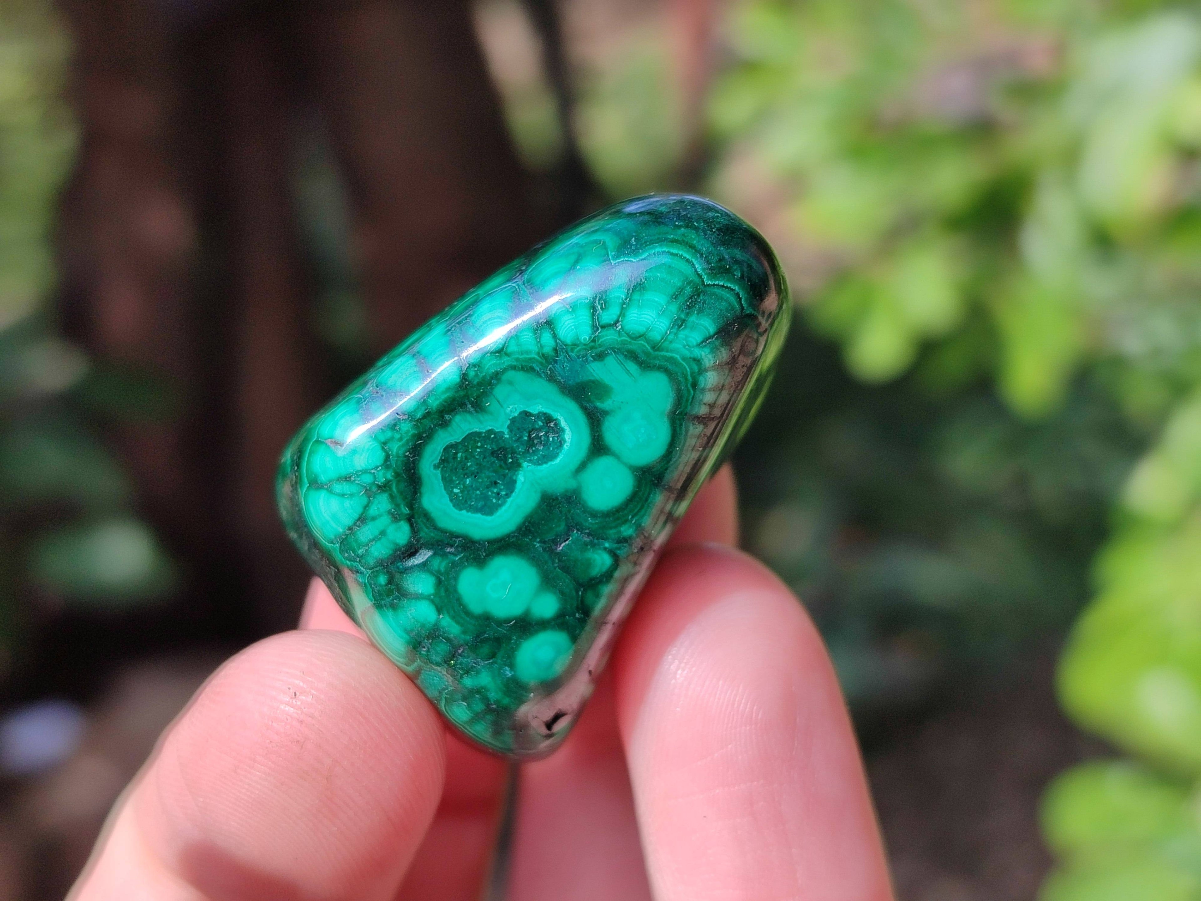 Polished Flower Banded Malachite Free Forms x 20 From Congo - Toprock Gemstones and Minerals 