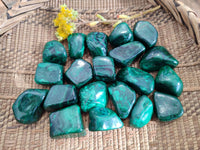 Polished Flower Banded Malachite Free Forms x 20 From Congo